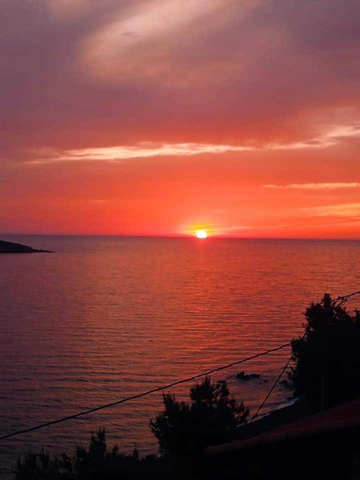 Kalymnos Platy Gialos Mousellis Makis Apartments Panormos  Εξωτερικό φωτογραφία